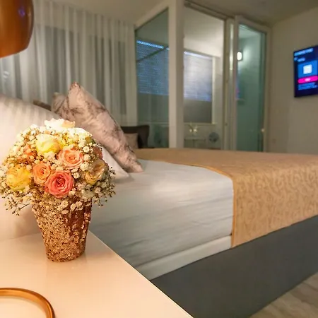 Pensión Rose Gold & With Balcony